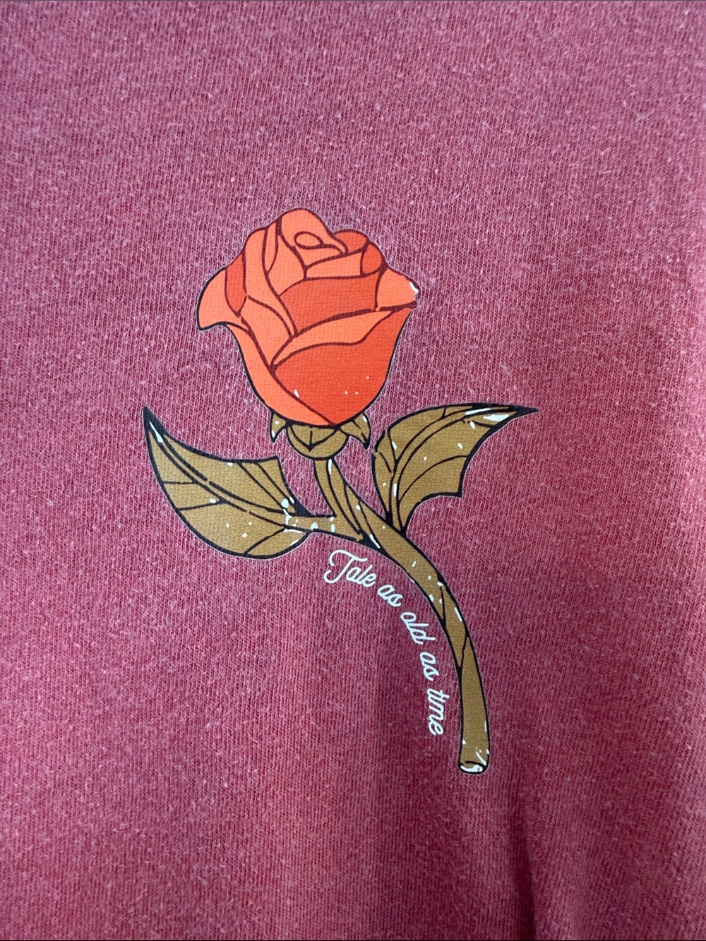 Beauty & the Beast “Tale As Old As Time” Comfort Colors Tee | Disney Inspo | L - Picture 4 of 6